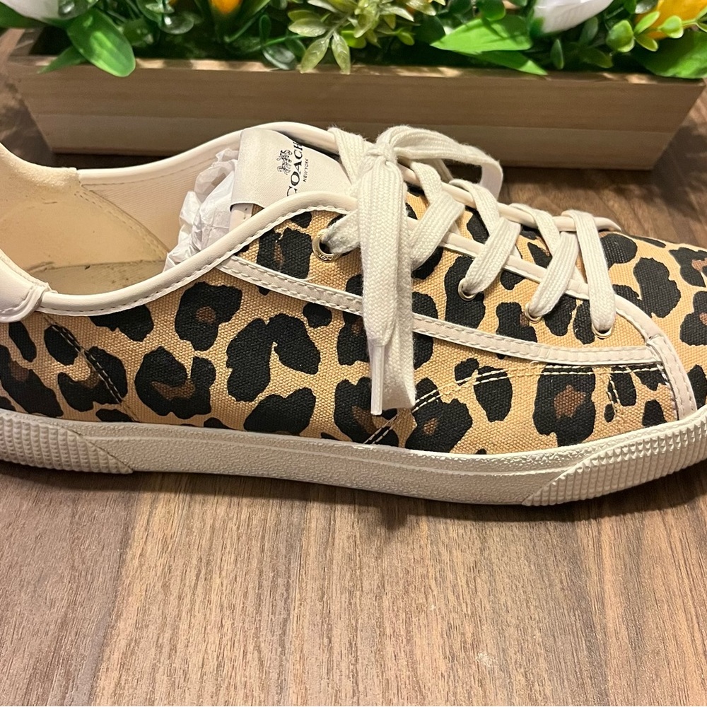 COACH Leopard Sneakers